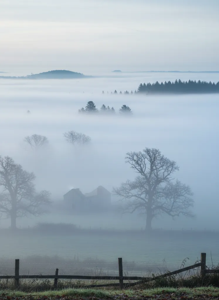 Illustration le brouillard - La météo