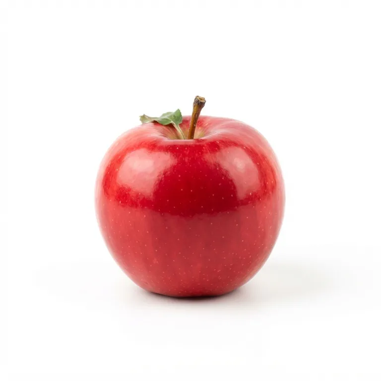 Pomme rouge brillante avec une petite tige brune